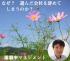 離職率低減のお手伝いをします。【コミュニケーション術】