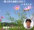 離職率低減のお手伝いをします。【面談術】